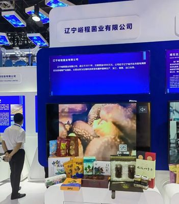 丹東企業(yè)走進東博會 共享RCEP新機遇