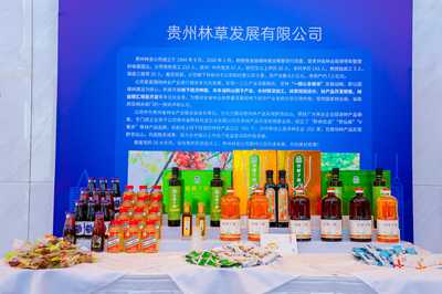 簽約83.7億元!2022年深圳·貴州林業(yè)產(chǎn)業(yè)招商引資活動舉行